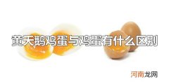 黄天鹅鸡蛋与鸡蛋有什么区别 什么是黄天鹅鸡蛋