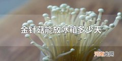金针菇能放冰箱多少天 金针菇能放冰箱3-5天左右
