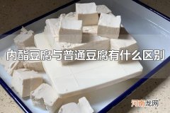 内酯豆腐与普通豆腐有什么区别 内酯豆腐与普通豆腐的口感一样吗