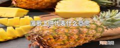 菠萝上供代表什么意思