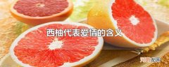 西柚代表爱情的含义
