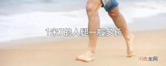 1米7的人腿一般多长