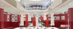 skp是啥