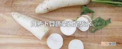 白萝卜算蔬菜还是碳水