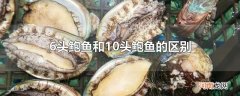 6头鲍鱼和10头鲍鱼的区别
