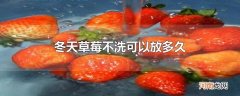 冬天草莓不洗可以放多久