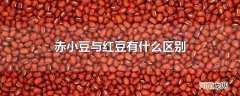 赤小豆与红豆有什么区别