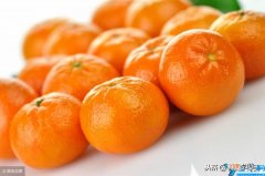 普通桔子皮能做陈皮吗 橘子与桔子有何不同怎么区分-