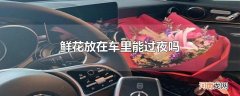 鲜花放在车里能过夜吗
