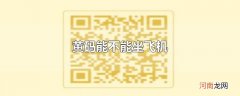 黄码能不能坐飞机
