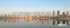 鲅鱼圈是哪个省哪个市哪个区