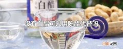 没有白醋可以用陈醋代替吗
