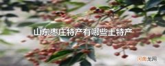 山东枣庄特产有哪些土特产