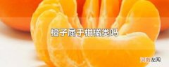 橙子属于柑橘类吗