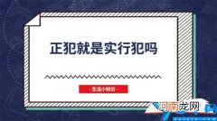正犯就是实行犯吗 正犯一定是实行犯吗