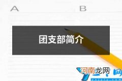 团支部简介 单位团支部简介