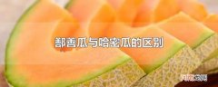 鄯善瓜与哈密瓜的区别