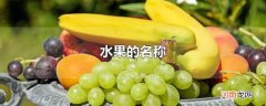 水果的名称