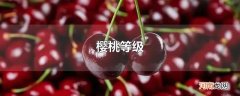 樱桃等级