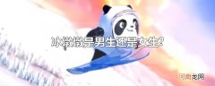 冰墩墩是男生还是女生?