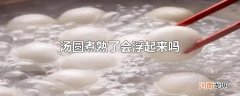 汤圆煮熟了会浮起来吗