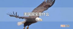 美国国宝是什么