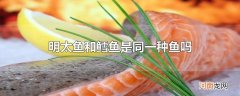 明太鱼和鳕鱼是同一种鱼吗