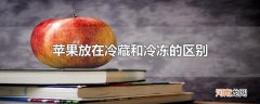 苹果放在冷藏和冷冻的区别