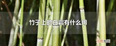竹子上的白霜有什么用