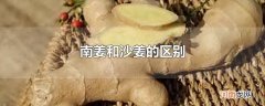 南姜和沙姜的区别