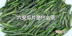 六安瓜片是什么茶 六安瓜片是绿茶