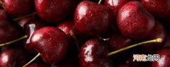 车厘子国内产地在哪里