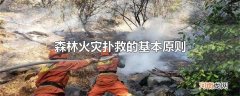 森林火灾扑救的基本原则