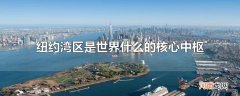 纽约湾区是世界什么的核心中枢