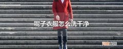 呢子衣服怎么洗干净