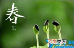 形容风景的四字词语有哪些 描写春天美景的四字词语