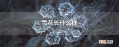 雪花长什么样