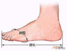 235是多少码 235是多少码数