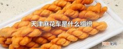 天津麻花车是什么组织