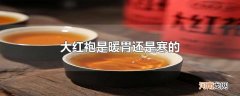 大红袍是暖胃还是寒的