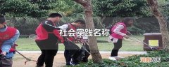 社会实践名称