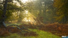 感觉生活好难的句子 生活好难的说说