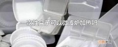 一次性盒子可以微波炉加热吗
