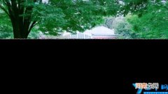 私立民办高中的职高的区别 私立民办高中和职高哪个好