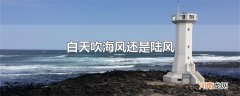 白天吹海风还是陆风