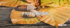 子为什么不能取名