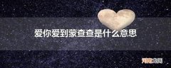 爱你爱到蒙查查是什么意思