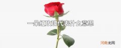 一朵红玫瑰代表什么意思