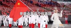 冬奥会多少个代表团