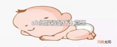 nb纸尿裤是什么意思